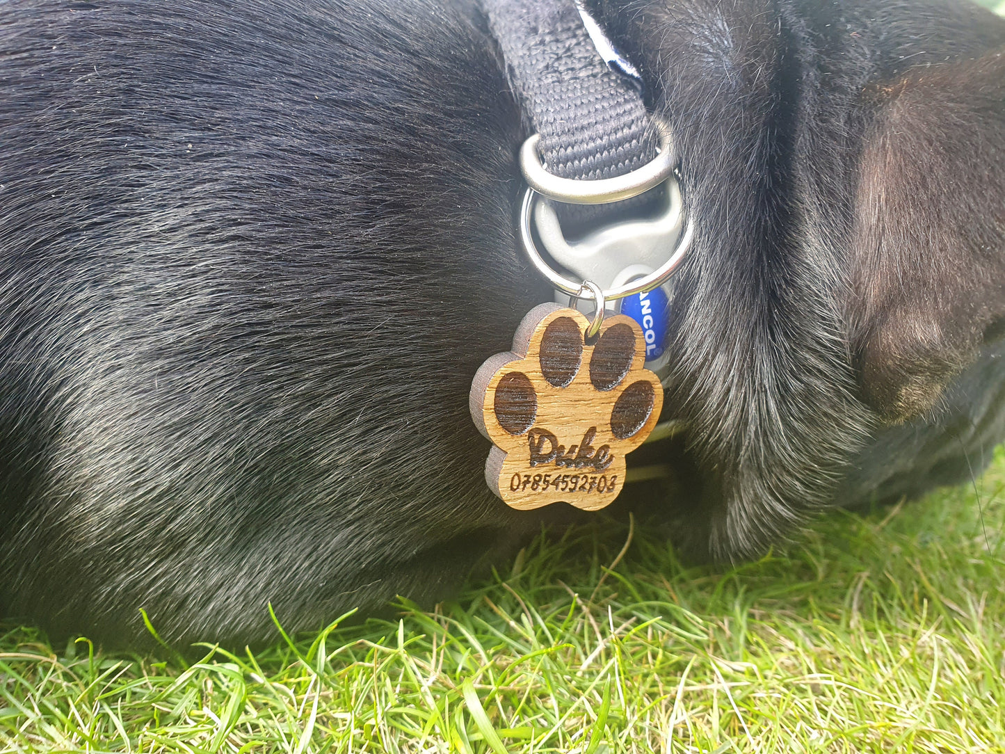 Personalised Wooden Paw Dog Tag - Paw Dog Tag with Name and Number - Different Sizes Available